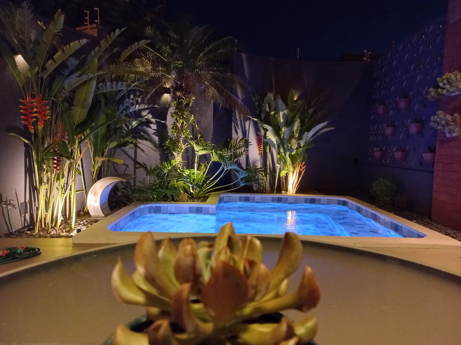 pequenos jardins